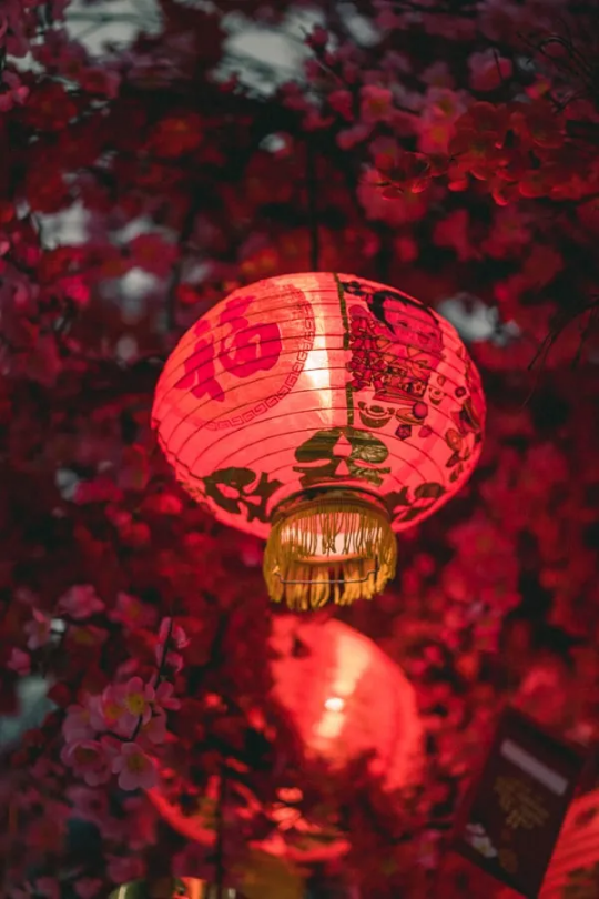 QQ图片20200513091816.png