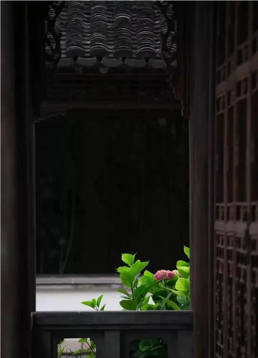 QQ图片20200521091315.png