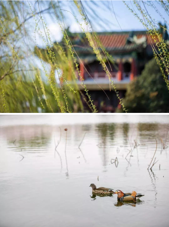 QQ图片20200521091348.png