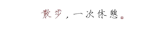 QQ图片20200521091419.png