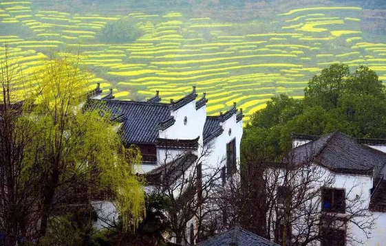 QQ图片20200521091613.png