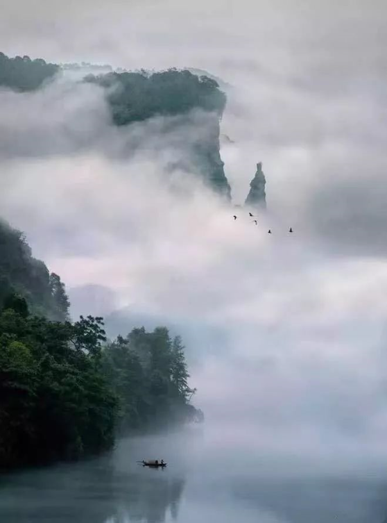 QQ图片20200521091933.png