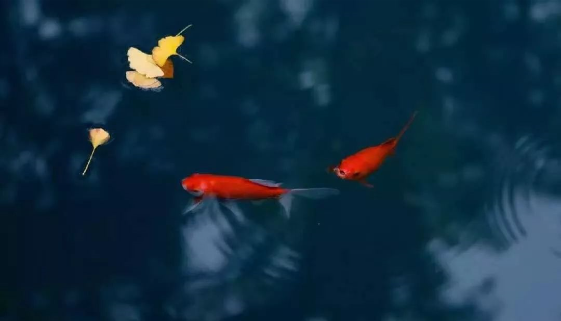 QQ图片20200521092010.png