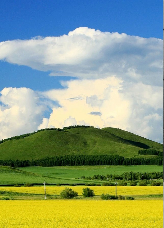 QQ图片20200810141928.png