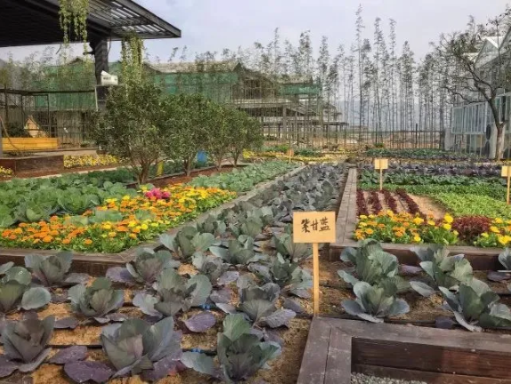 QQ图片20200922144732.png