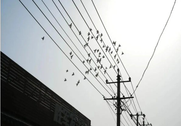 QQ图片20200924140514.png