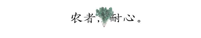 QQ图片20201110140232.png