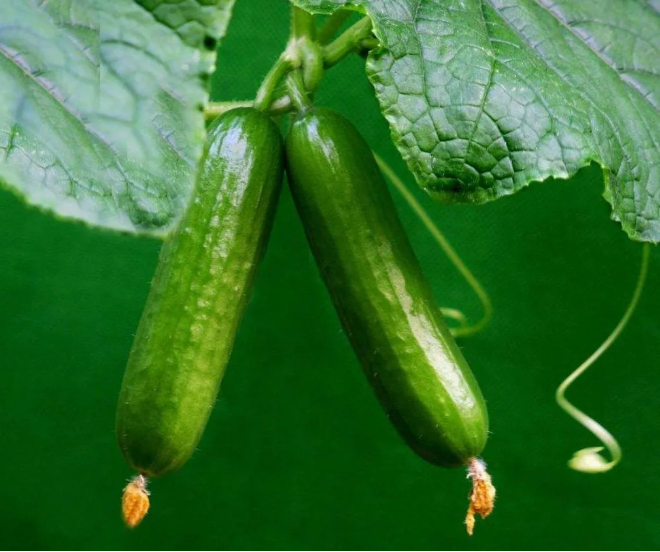 QQ图片20201110140320.png