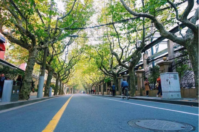 QQ图片20201112151159.png