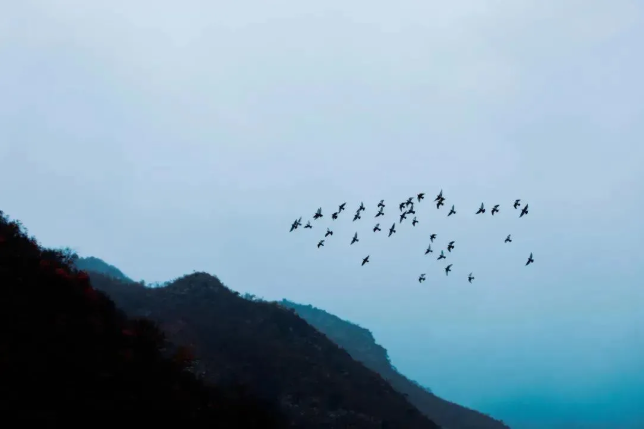 QQ图片20201209134815.png