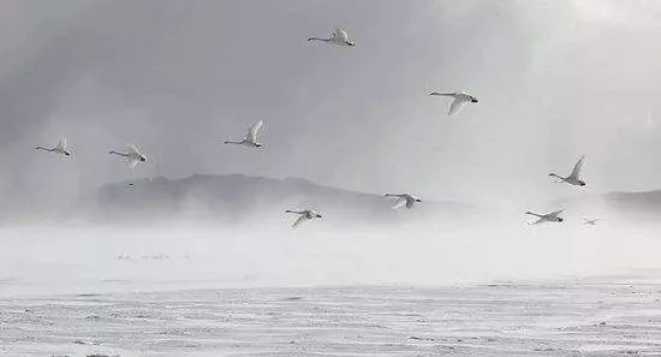 QQ图片20201216145054.png