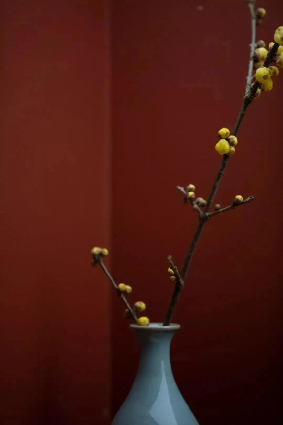 QQ图片20210204093933.png
