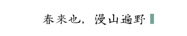 QQ图片20210312140248.png