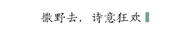 QQ图片20210312140717.png