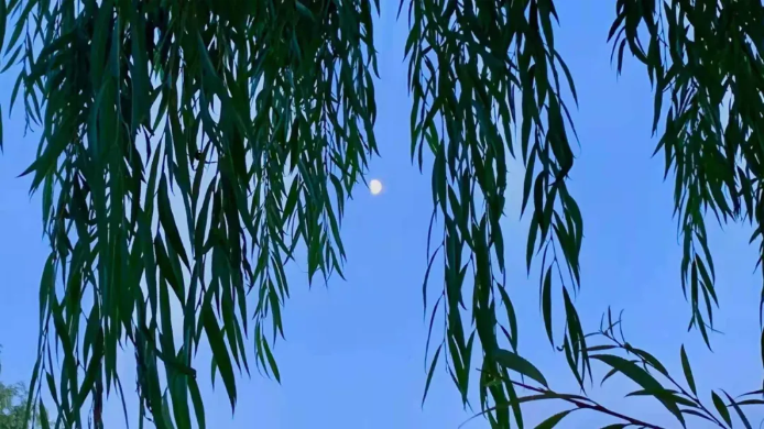 QQ图片20210519095939.png