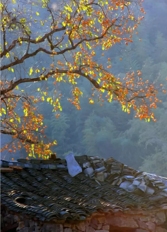 QQ图片20211112135226.png