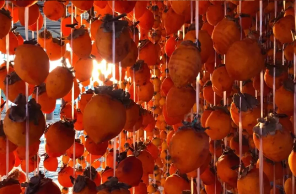 QQ图片20211112135719.png