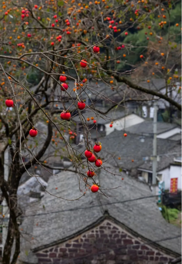 QQ图片20211112135918.png
