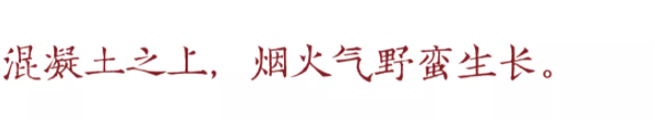 QQ图片20220124143517.png
