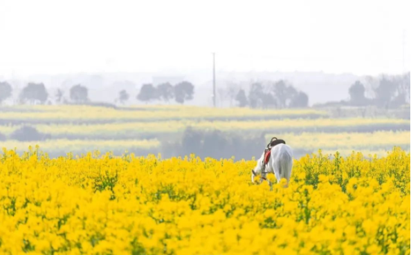 1649915556834386.png QQ图片20220414100624.png