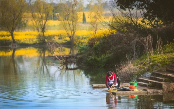 1649915569497232.png QQ图片20220414100656.png