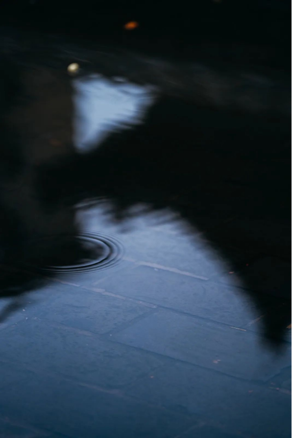 QQ图片20220616095631.png