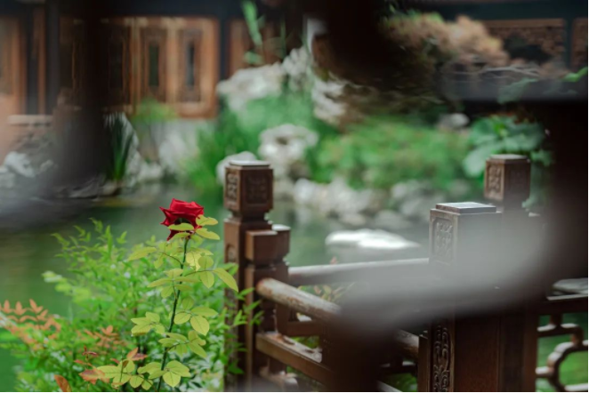 QQ图片20220616095746.png