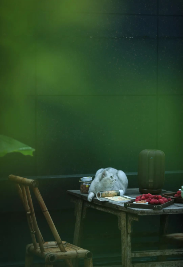 QQ图片20220714093636.png