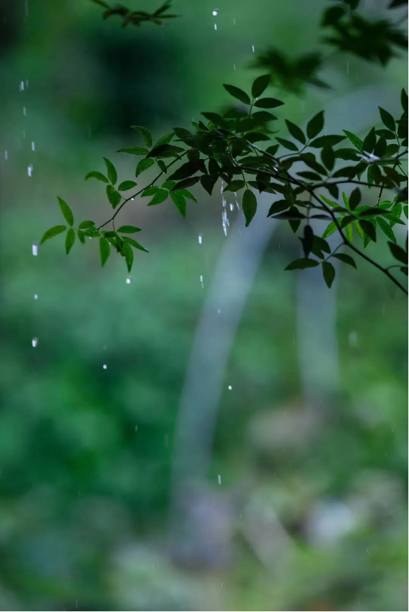 QQ图片20220720100654.png