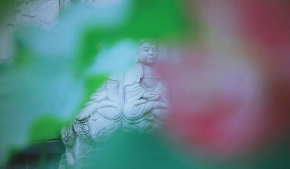 QQ图片20220819113626.png
