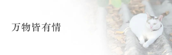 QQ图片20221114135255.png