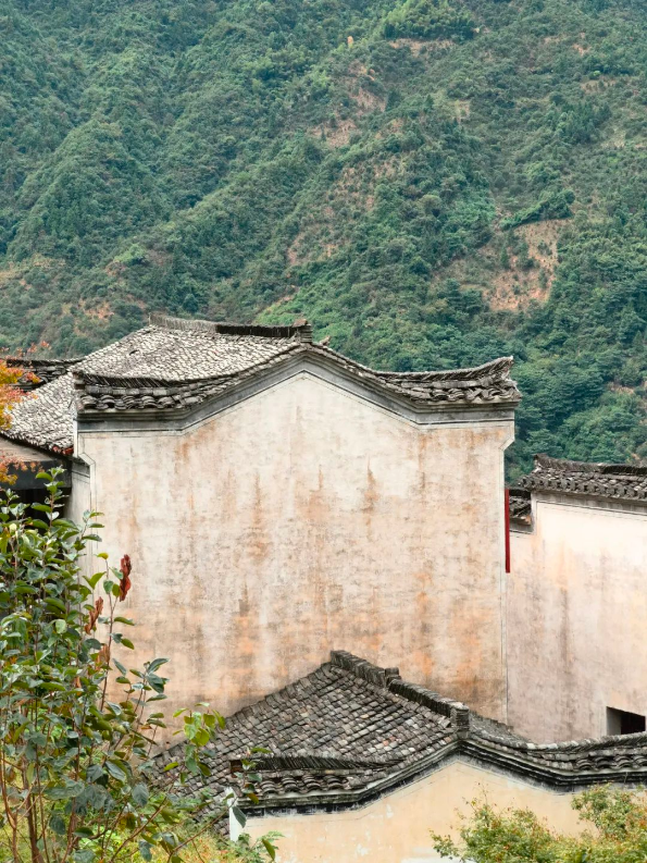 QQ图片20221114135315.png