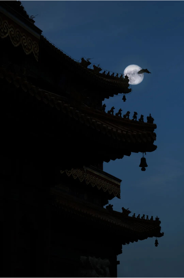 QQ图片20221114135438.png