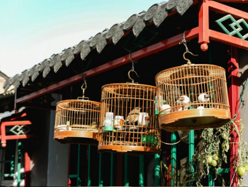 QQ图片20230103090925.png