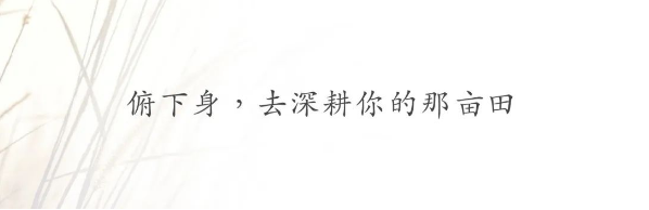 QQ图片20230209105452.png
