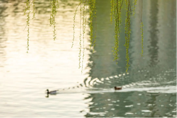 1679037148150955.png QQ图片20230317143641.png