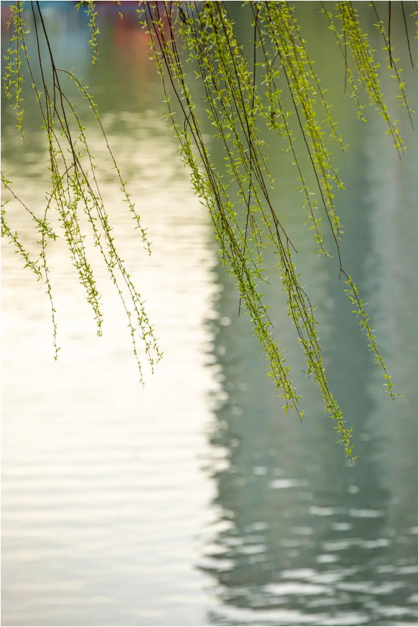 1679037195126009.png QQ图片20230317143742.png