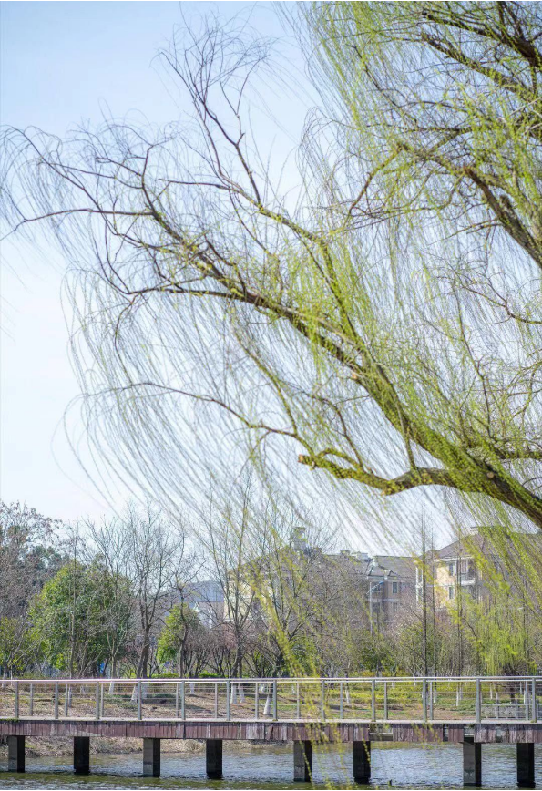 1679037247422141.png QQ图片20230317143856.png