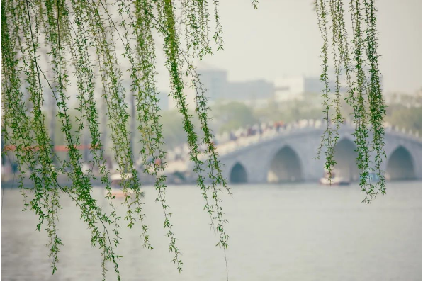 1679037271916146.png QQ图片20230317143946.png