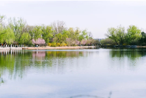 1679037311642507.png QQ图片20230317144056.png