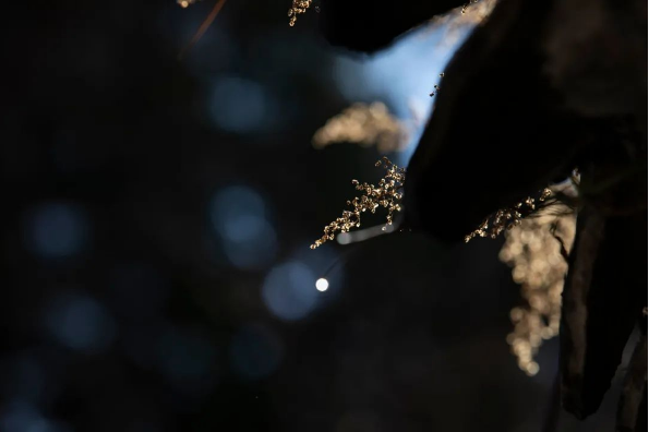 1684907629650210.png QQ图片20230524134747.png