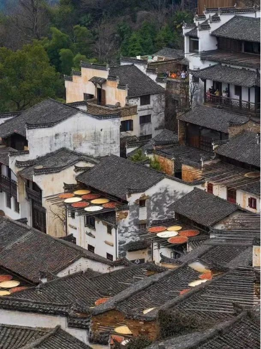 QQ图片20231011101510.png