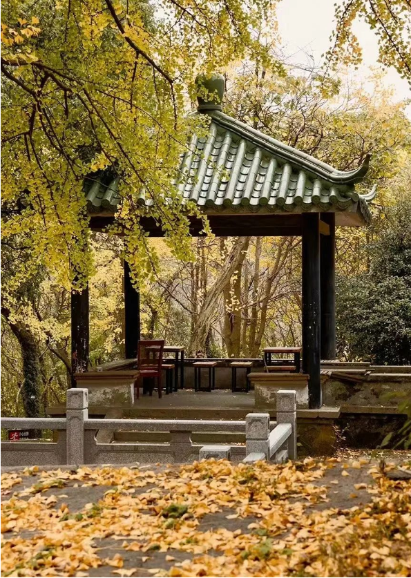 QQ图片20231012144936.png