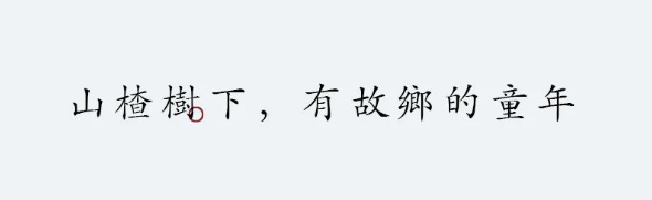 QQ图片20231103154414.png