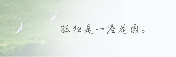 QQ图片20240425144832.png