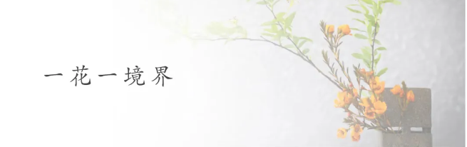 QQ图片20240515134646.png