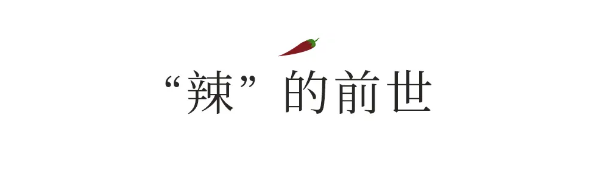 QQ图片20240617142758.png