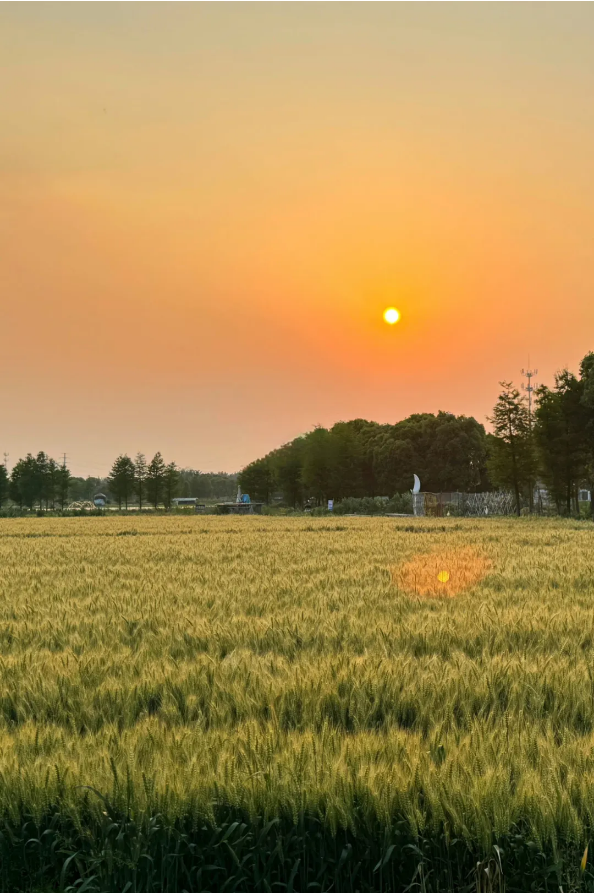 QQ图片20240620141647.png
