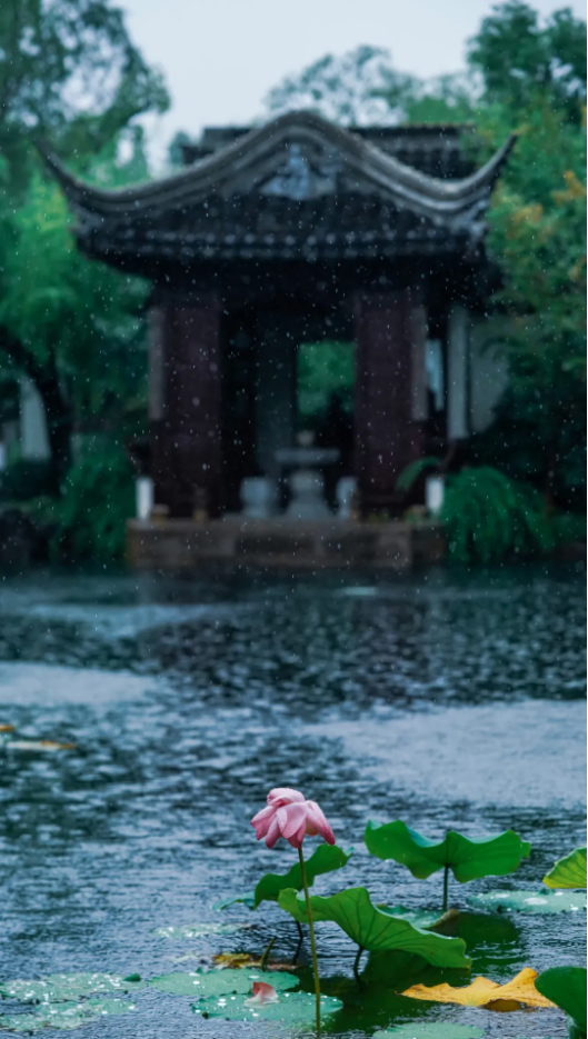 QQ图片20240820162820.png