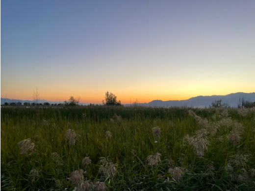 1726206366138949.png QQ图片20240913134108.png